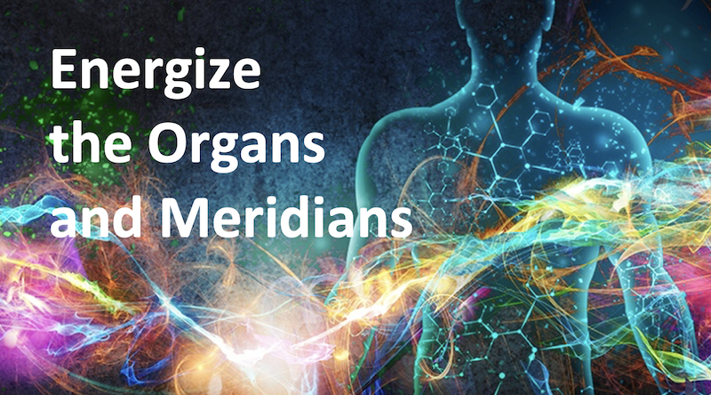 Artistic rendering of energy, organs and meridians